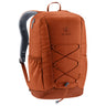Deuter Gogo 25 - Rucksack 46 cm (copper-oak)